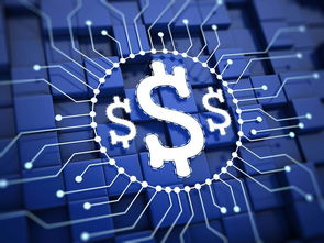 楊望 以數(shù)字貨幣破題普惠金融，數(shù)字技術(shù)服務(wù)實(shí)體經(jīng)濟(jì)新路徑